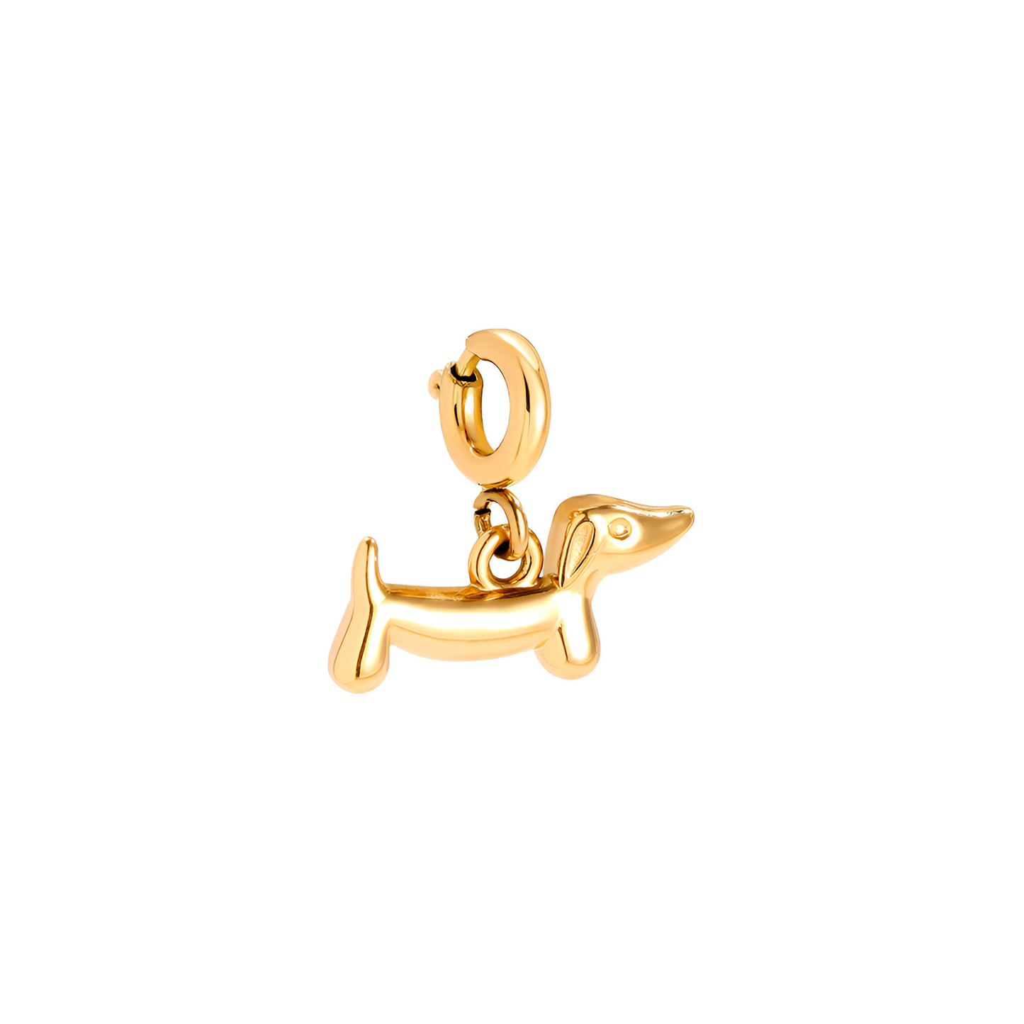Dackel Dog - Charm✨