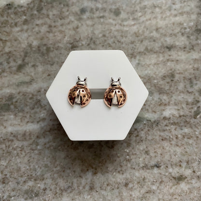 Marienkäfer-Ohrringe🐞| Sterlingsilber 925