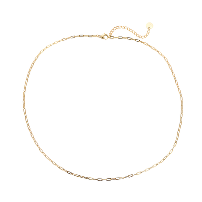 Charm- Halskette ✨