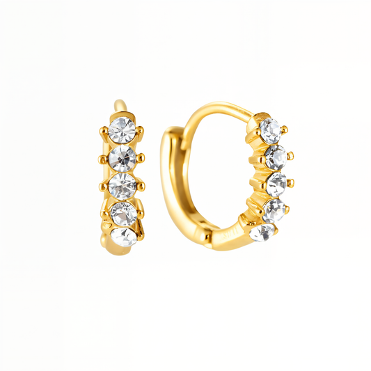 Desire | Ohrringe✨